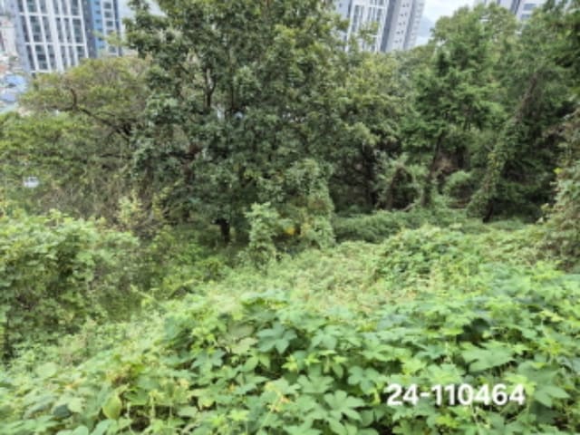 B000414202401301104642.jpg
