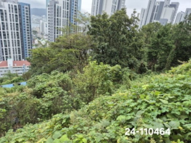 B000414202401301104643.jpg