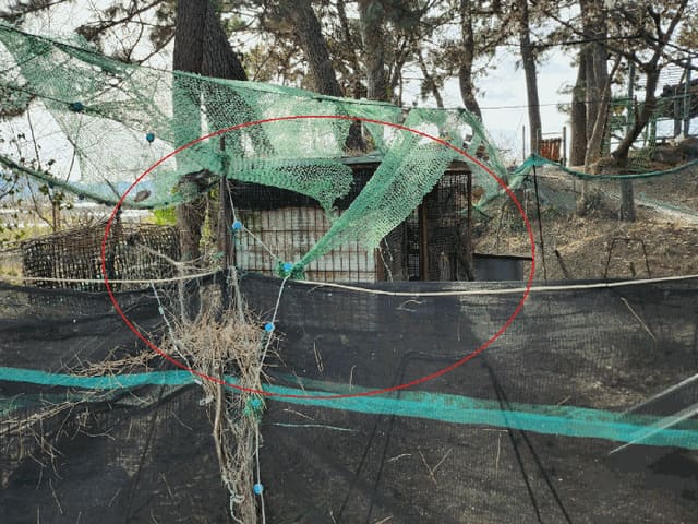 B000414202501300008233.jpg