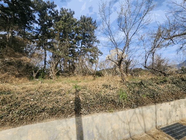 B000414202501300008234.jpg