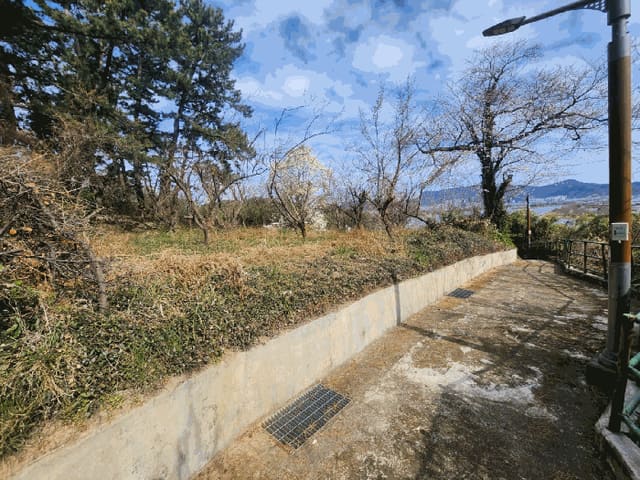 B000414202501300008232.jpg