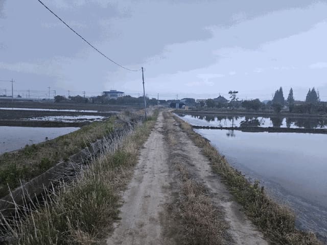 B000414202501300014514.jpg