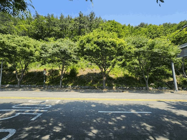 B000414202501300017273.jpg