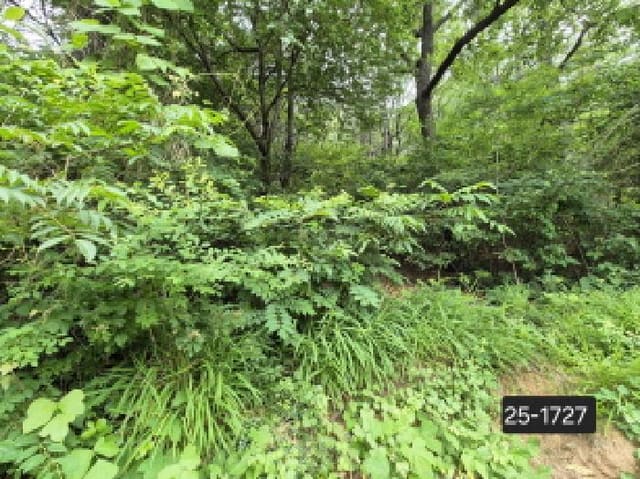 B000414202501300017271.jpg