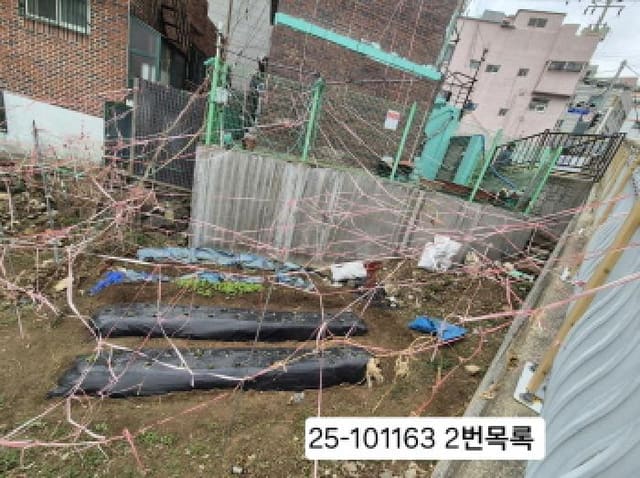 B000414202501301011631.jpg