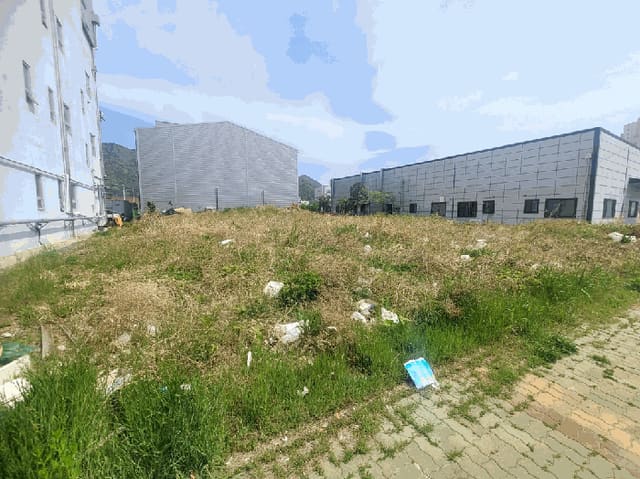 B000414202501301013062.jpg