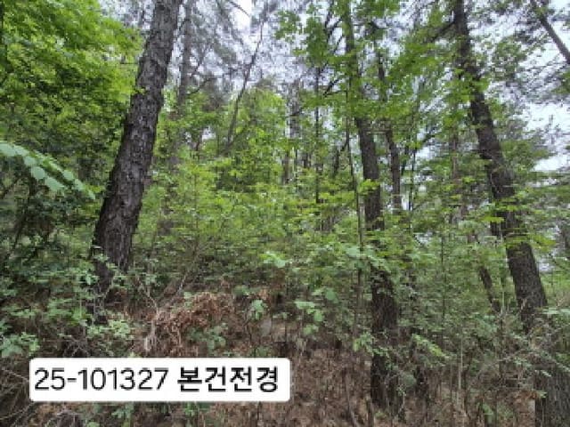 B000414202501301013271.jpg