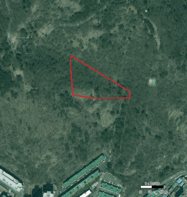B000414202501301013593.jpg