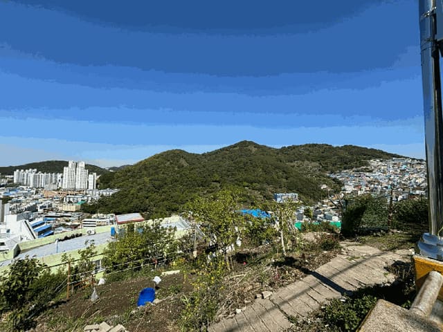 B000414202501301013594.jpg