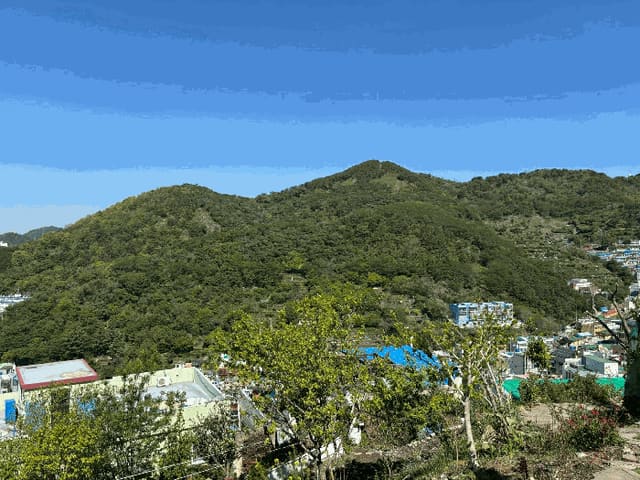 B000414202501301013592.jpg