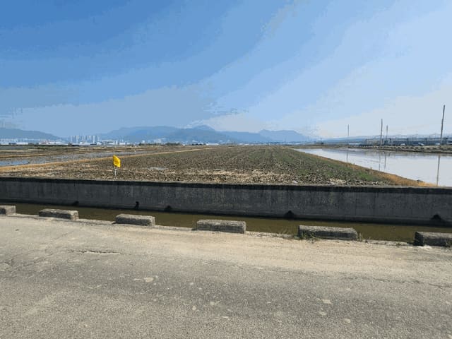 B000414202501301013782.jpg