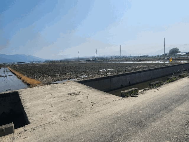 B000414202501301013784.jpg