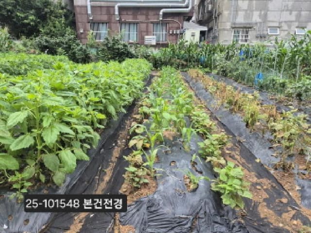 B000414202501301015482.jpg