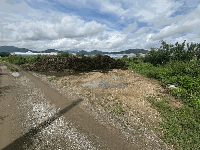 B000414202501301017594.jpg