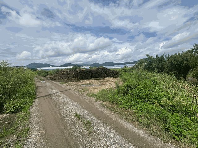 B000414202501301017592.jpg