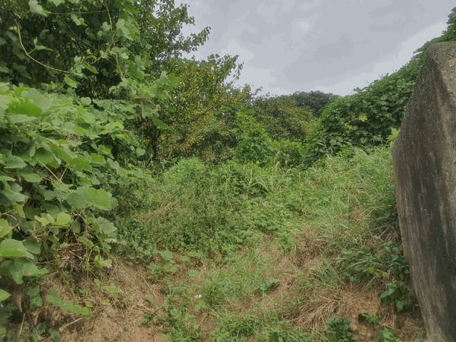 B000414202501301018993.jpg