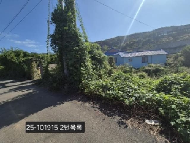 B000414202501301019151.jpg