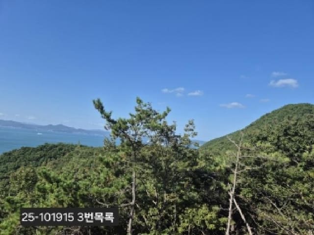 B000414202501301019154.jpg