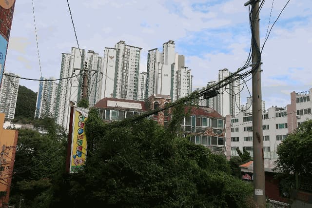 B000414202501301019304.jpg