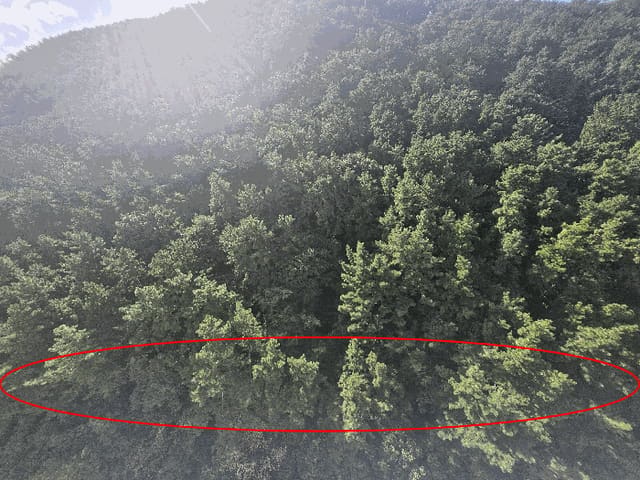 B000414202501301020214.jpg