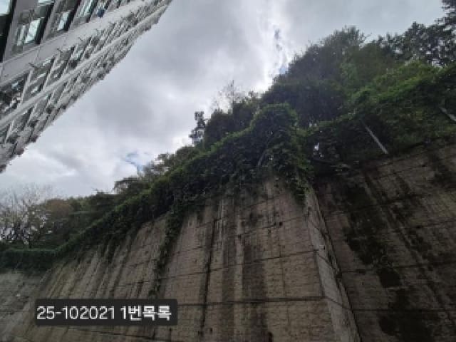B000414202501301020211.jpg