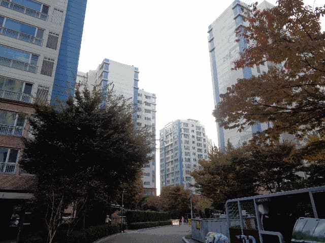 B000414202501301020614.jpg