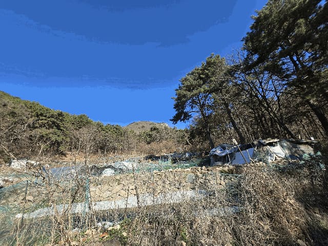 B000414202501301021142.jpg