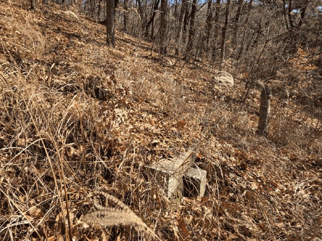 B0004142025013010211417.jpg