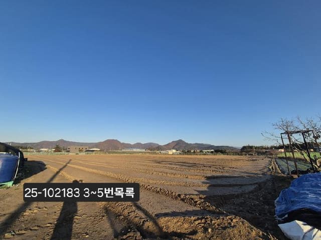 B000414202501301021834.jpg