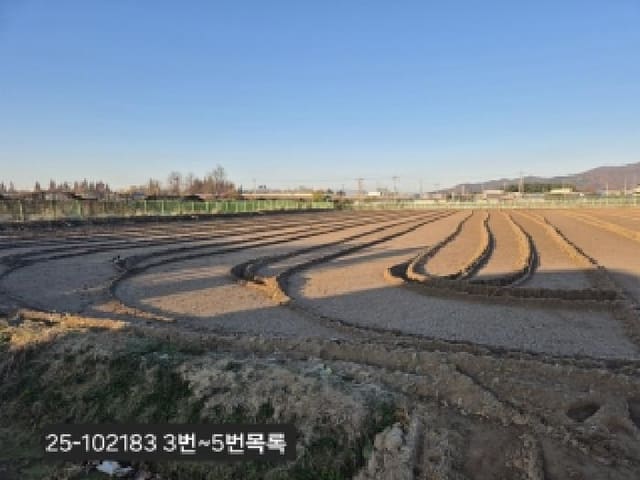 B000414202501301021833.jpg