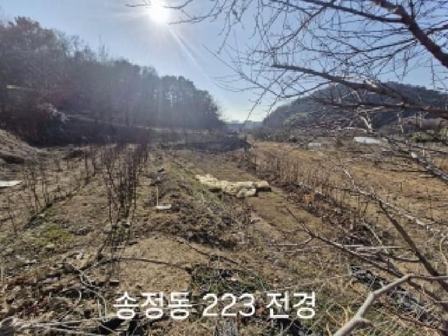 B0004142025013010232920.jpg