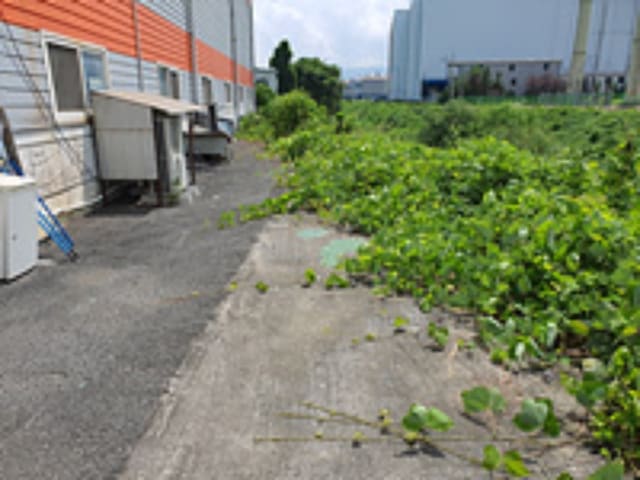 B000420202301300054163.jpg
