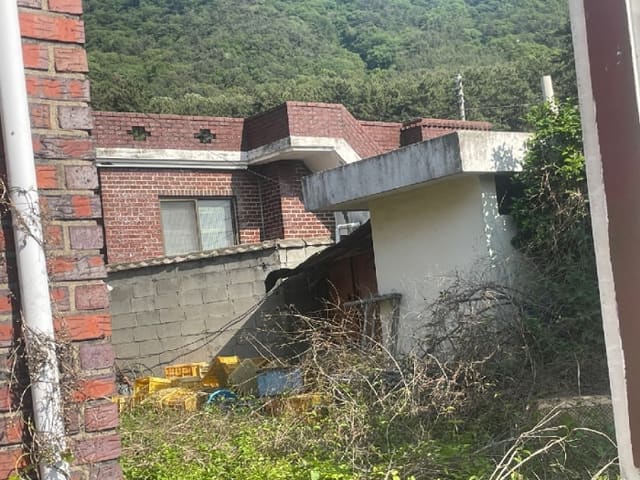 B0004202024013000291912.jpg