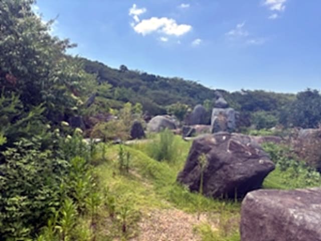 B000420202401300053073.jpg