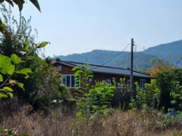 B000420202401300070372.jpg