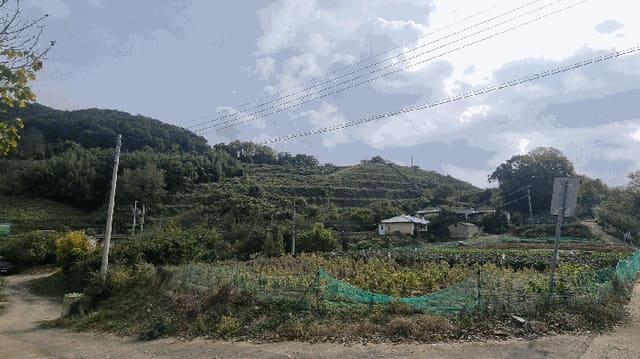 B000420202401300070684.jpg