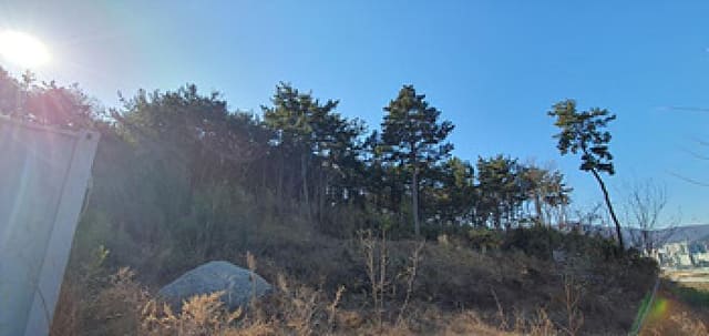 B000420202401300080851.jpg