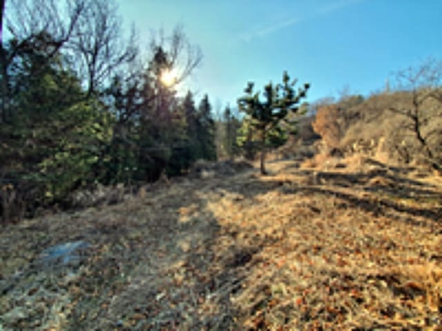 B000420202401301004173.jpg