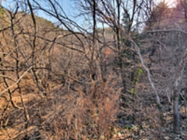 B000420202401301004171.jpg