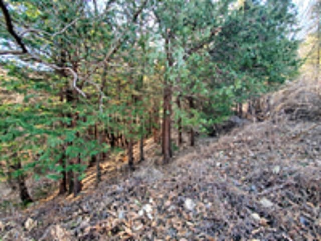 B000420202401301004174.jpg