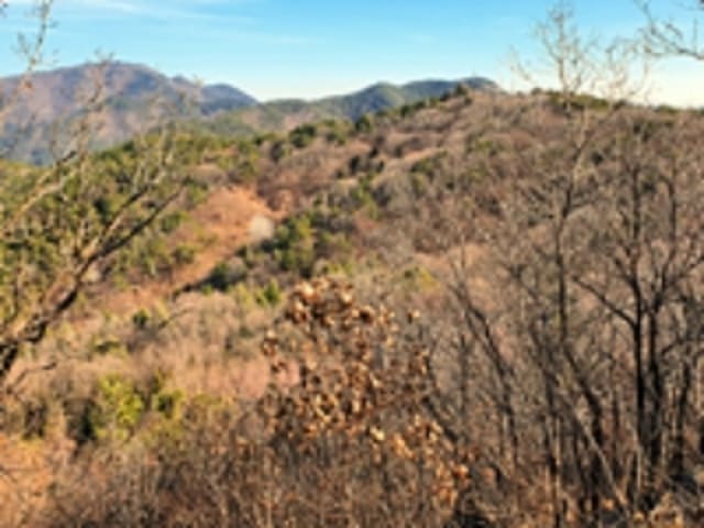 B000420202401301004174.jpg