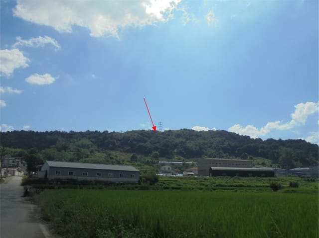B000420202401301104144.jpg