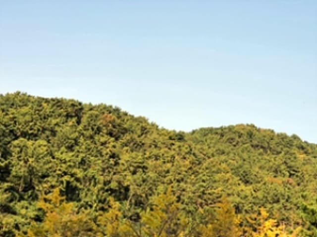 B000420202401301149351.jpg