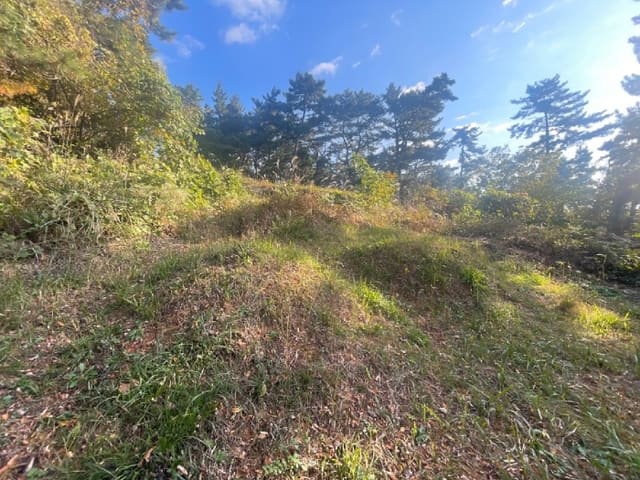 B000420202401301152594.jpg