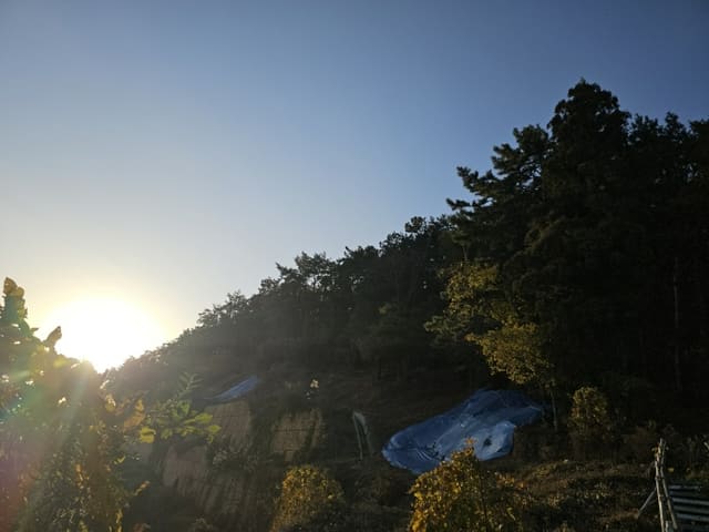 B000420202401301160544.jpg