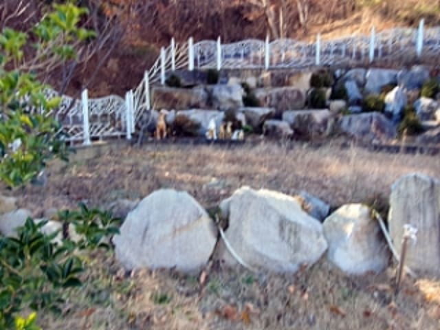 B000420202401301164292.jpg