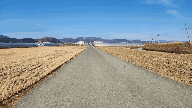 B000420202501300003164.jpg