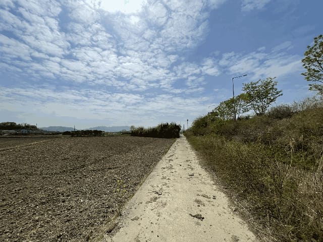 B000420202501300004313.jpg