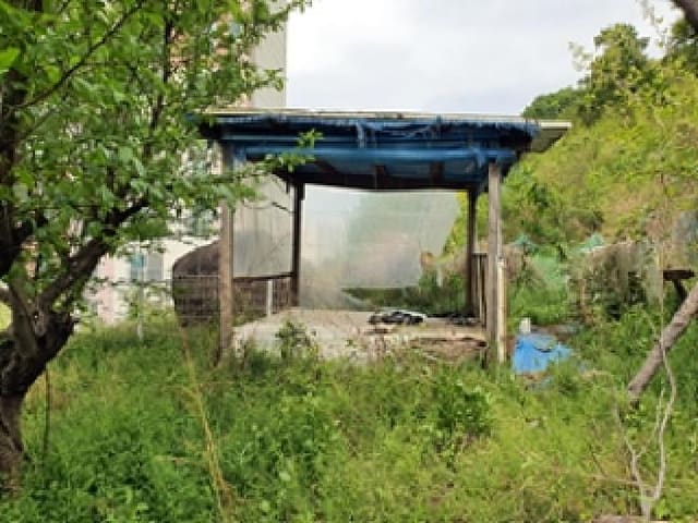 B000420202501300004632.jpg
