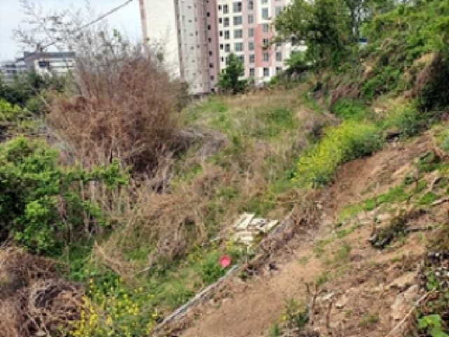 B000420202501300004633.jpg